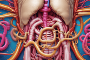 Digestive System Chapter 23.1 Quiz