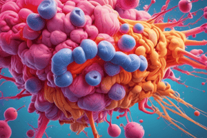 FNT-α, IL-1, and COX-2 Pathways in Inflammation