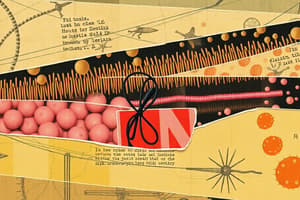 Biology 5.3   Cell Biology: Ribosomes and Endomembrane System