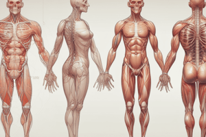 Y1S1 001 III Physiology of Body Fluids