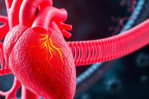 Cardiac Function and Membrane Transport Quiz