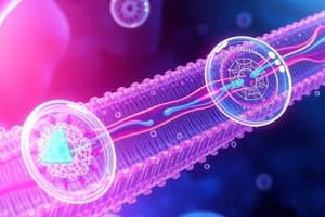 Cell Membrane Transport Mechanisms Quiz