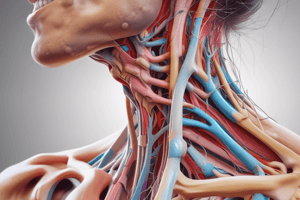 Cervical Radicular Pain Quiz