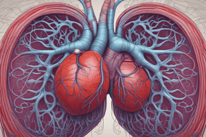 3.1 ;part 2Anatomy of the Cardiovascular System