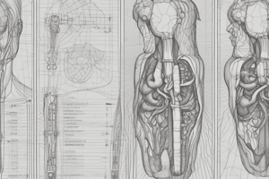 Medical Imaging Contrast Agents and Venipuncture Procedures