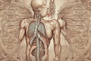 Respiratory System and Asthma