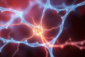 Cytoskeleton and Cell Motility Quiz