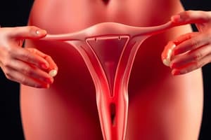 Polycystic Ovary Syndrome Overview