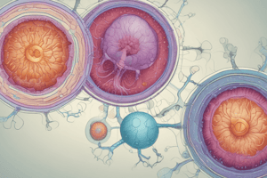 Embryology: Developmental Stages