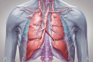 Anatomía Radiológica del Tórax en Niños