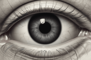 Eye Anatomy: Structures at the Front of Your Eye