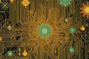 Circuits Combinational e Sequential