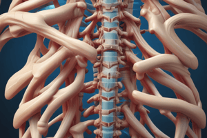 Spinal Shear Forces and Movements Quiz