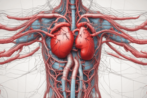 MBBS1 FPP: Flow and Pressure