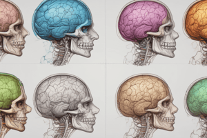 Cerebral Blood Flow, Cerebrospinal Fluid, and Brain Metabolism