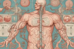 Hormones and Endocrine System