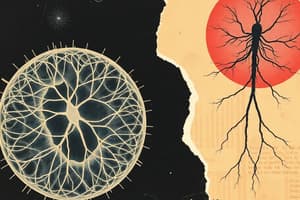 Cell Biology Quiz on Cytoskeleton Functions