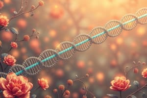 Transcription and RNA Synthesis Quiz