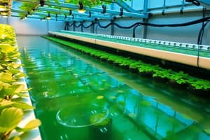 Commercial Aquaponics Guide 2020