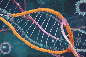 DNA Structure and Function