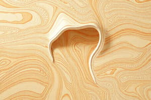 Laminated Gypsum Boards (PYL): Types and Properties