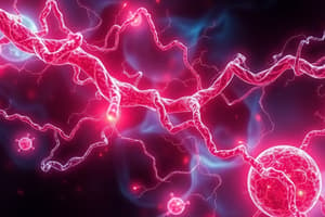 Anabolic Pathways and Gluconeogenesis