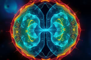 Biology Mitosis and Meiosis Overview