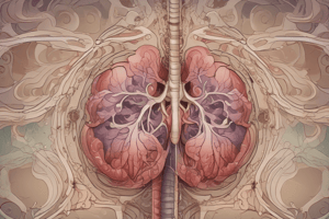 Breathing and Exchange of Gases