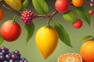 Botany Definition and Classification of Fruits