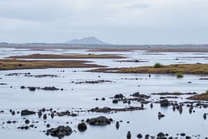 Zukunftsrandbedingungen und Klimaforschung