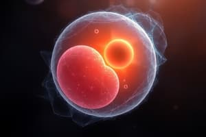 Early Embryonic Development: From Zygote to Blastocyst