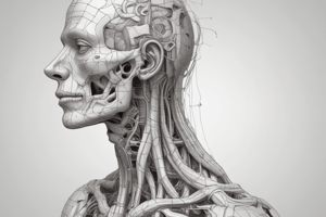 Anatomy of the Submandibular Region