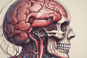 Cerebrovascular Accidents and Hemorrhages