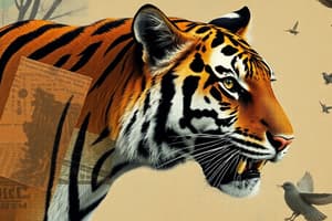 Endangered Tigers Quiz