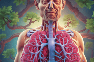 Respiratory System: Bronchial Tree and Bronchioles Function