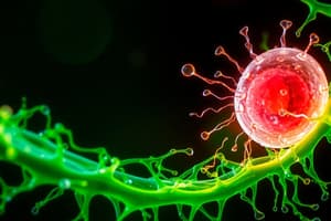 Cell Communication Overview