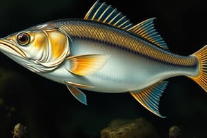 Biology of Milkfish (Chanos chanos)