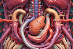 Digestive System Chapter 23.1 Quiz