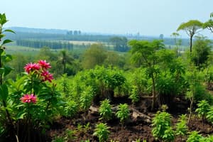 Biodiversity and the Ecosystem