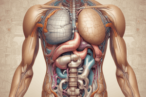 Anatomy and Physiology of the Digestive System