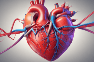 Classification of Arrhythmias