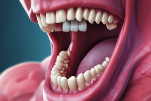 BMS 133: Oral Cavity, Palate, and Tonsils Hypertrophy Quiz