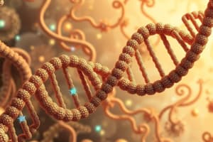 DNA Packaging and Eukaryotic Organization