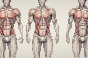 Gross anatomy Week 5