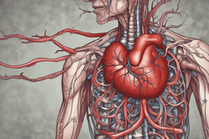 Biology Chapter 20: Blood Vessels and Circulation - medium