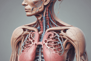 Functions of the Respiratory System