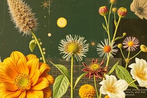 Eudicotiledóneas: Características y Clasificación