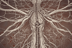 Autonomic Nervous System Overview