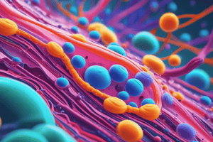 Cell Membrane Overview