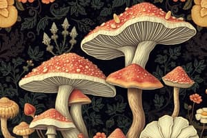 Quiz sur les Fungi : Ascomycètes et Polypores